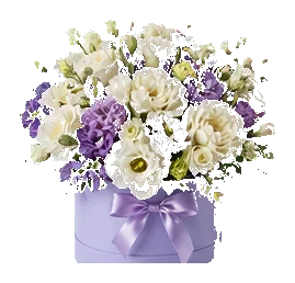 Фуксия Box — фото без фона